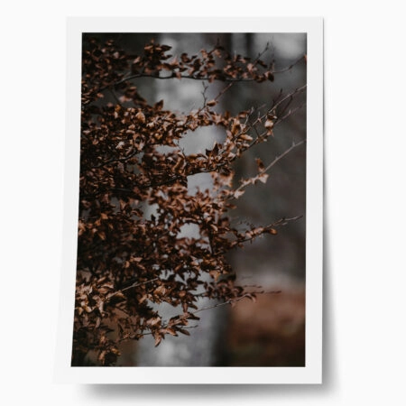 Poster RUSTIC FARMHOUSE DRIED LEAVES 4 - 