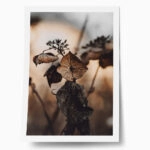 Poster RUSTIC FARMHOUSE DRIED LEAVES 5