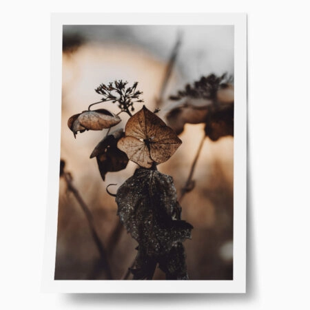 Poster RUSTIC FARMHOUSE DRIED LEAVES 5 - 