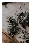 Poster RUSTIC FARMHOUSE DRIED LEAVES 6