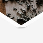 Poster RUSTIC FARMHOUSE DRIED LEAVES 6