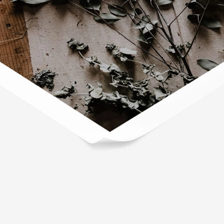 Poster RUSTIC FARMHOUSE DRIED LEAVES 6 -  Sticky 1