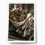 Poster RUSTIC FARMHOUSE DRIED WOOD