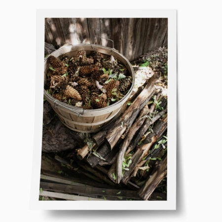 Poster RUSTIC FARMHOUSE DRIED WOOD - 