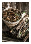 Poster RUSTIC FARMHOUSE DRIED WOOD