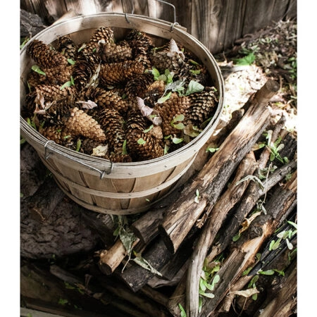 Poster RUSTIC FARMHOUSE DRIED WOOD -  Sticky 2
