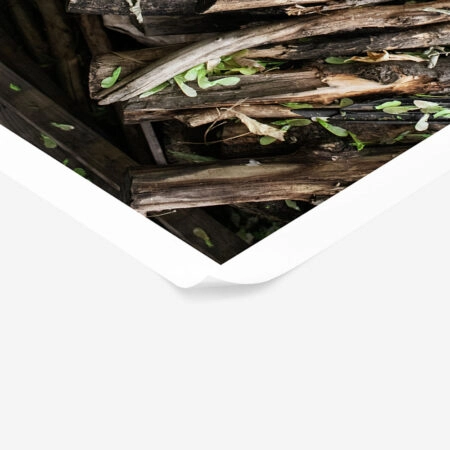 Poster RUSTIC FARMHOUSE DRIED WOOD -  Sticky 1