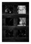 Poster RUSTIC FARMHOUSE FENCE