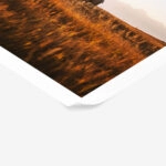 Poster RUSTIC FARMHOUSE FIELD CABIN