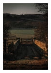 Poster RUSTIC FARMHOUSE FIELD