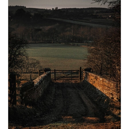 Poster RUSTIC FARMHOUSE FIELD -  Sticky 2