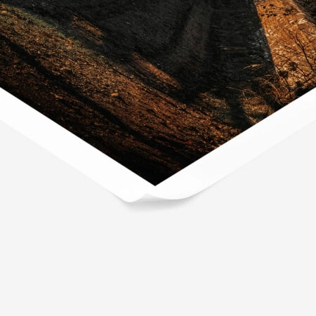 Poster RUSTIC FARMHOUSE FIELD -  Sticky 1