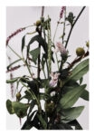 Poster RUSTIC FARMHOUSE FLOWERS 2