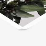 Poster RUSTIC FARMHOUSE FLOWERS 2