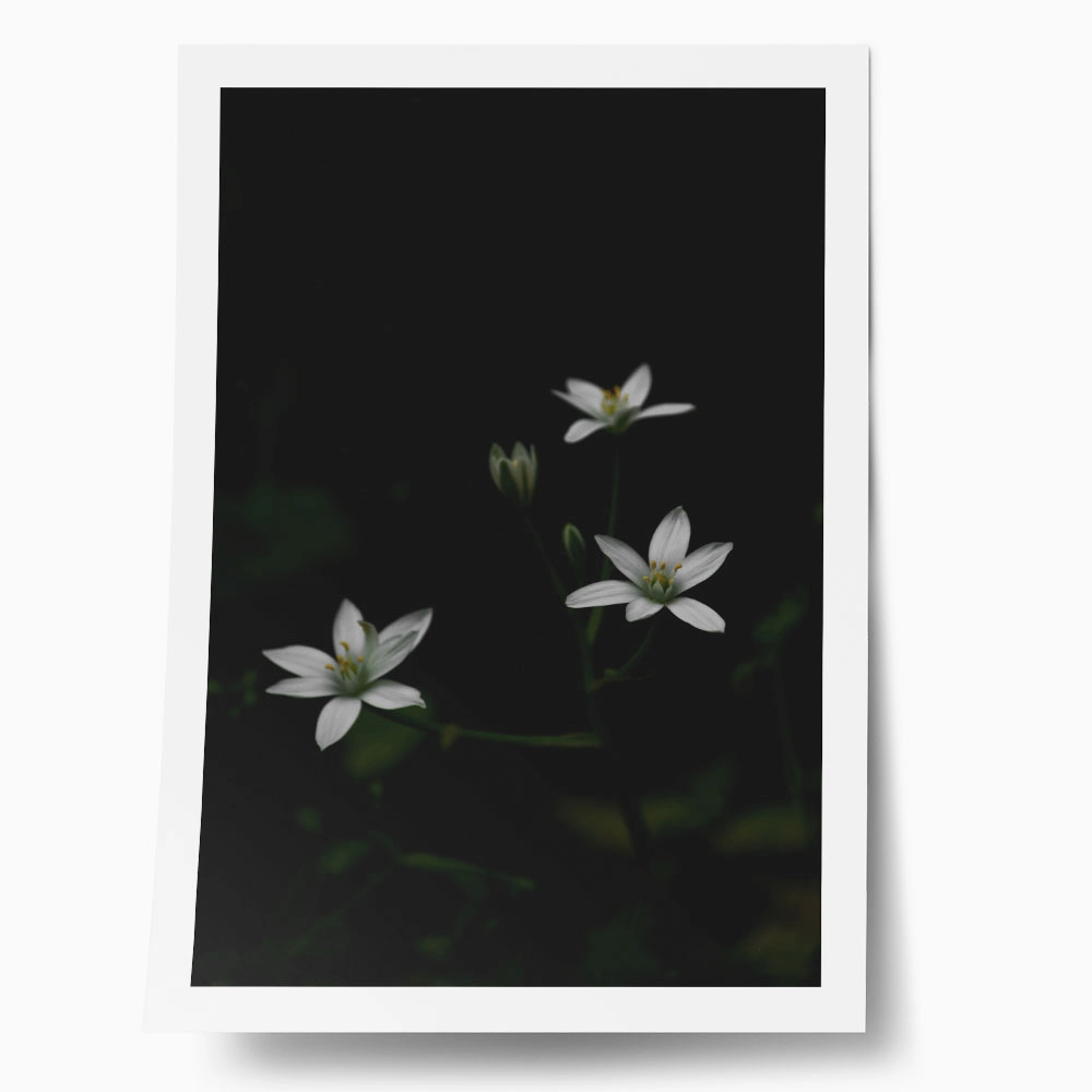 Poster RUSTIC FARMHOUSE FLOWERS 3