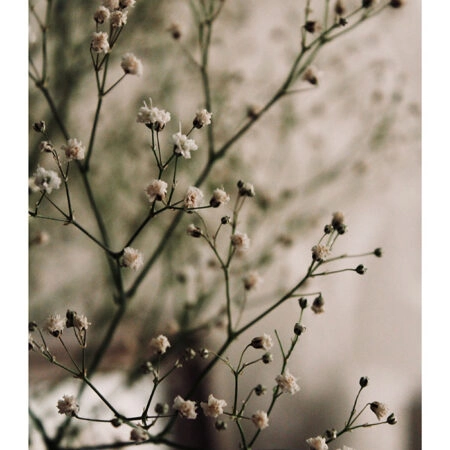 Poster RUSTIC FARMHOUSE FLOWERS 4 -  Sticky 2