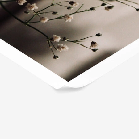 Poster RUSTIC FARMHOUSE FLOWERS 4 -  Sticky 1