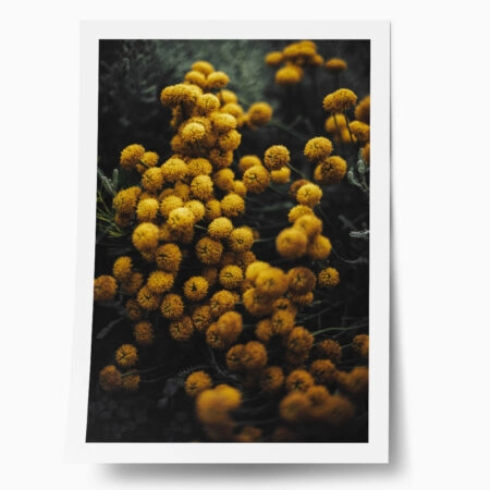 Poster RUSTIC FARMHOUSE FLOWERS 5 - 