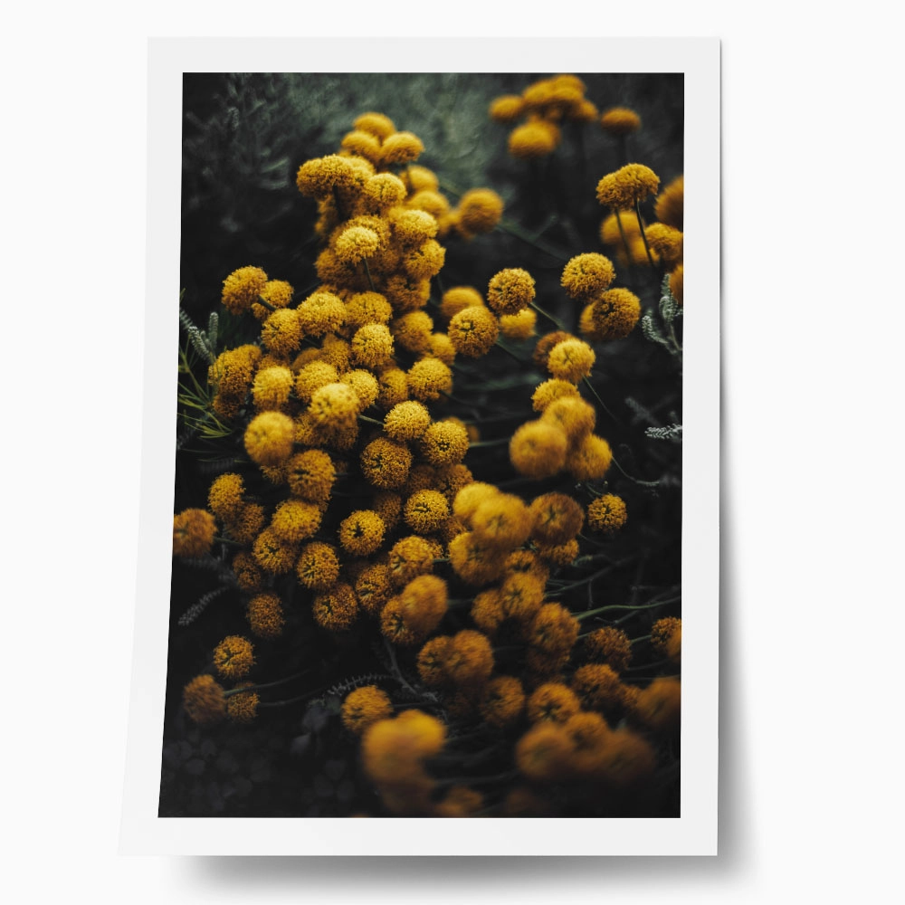 Poster RUSTIC FARMHOUSE FLOWERS 5