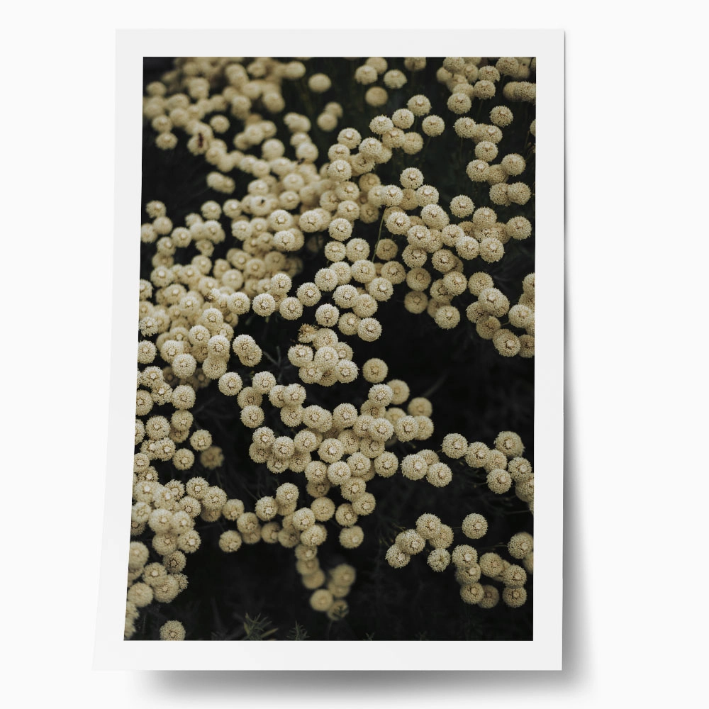 Poster RUSTIC FARMHOUSE FLOWERS 6