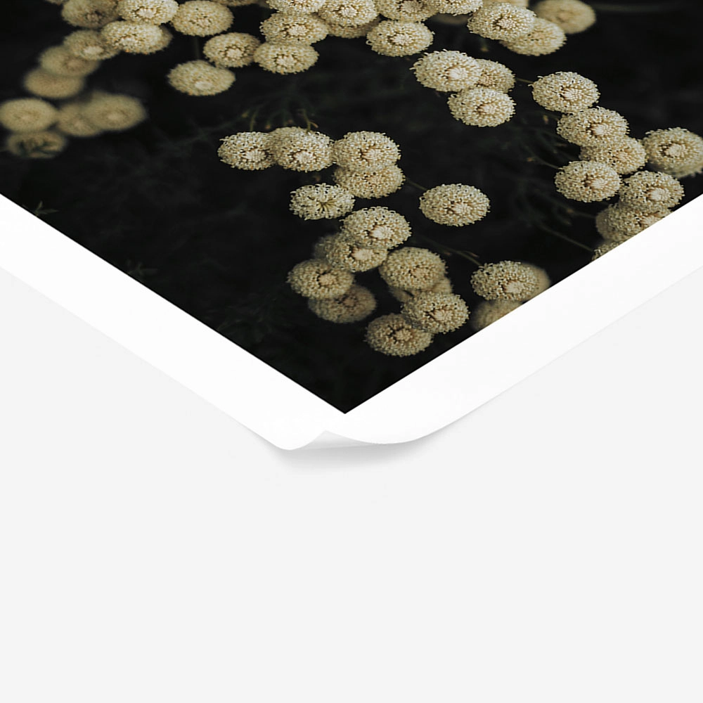 Poster RUSTIC FARMHOUSE FLOWERS 6