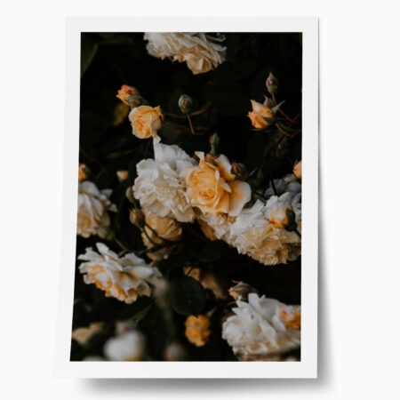 Poster RUSTIC FARMHOUSE FLOWERS - 