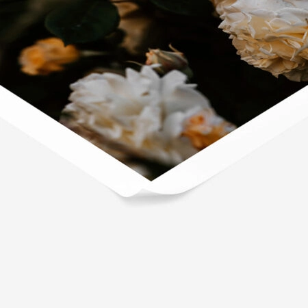 Poster RUSTIC FARMHOUSE FLOWERS -  Sticky 1