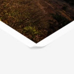 Poster RUSTIC FARMHOUSE FOGGY MOUNTAIN 2