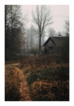 Poster RUSTIC FARMHOUSE FOREST CABIN 2