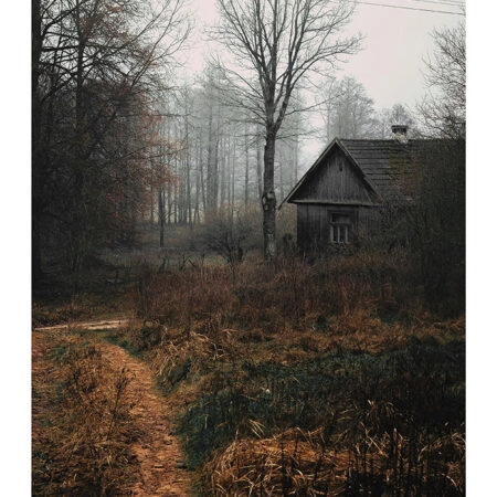 Poster RUSTIC FARMHOUSE FOREST CABIN 2 -  Sticky 2
