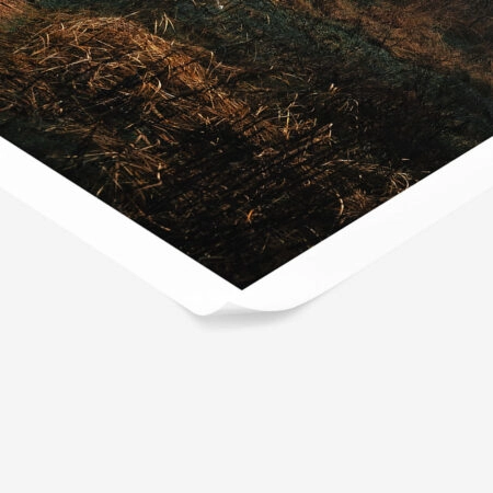Poster RUSTIC FARMHOUSE FOREST CABIN 2 -  Sticky 1