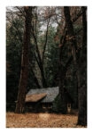 Poster RUSTIC FARMHOUSE FOREST CABIN 3