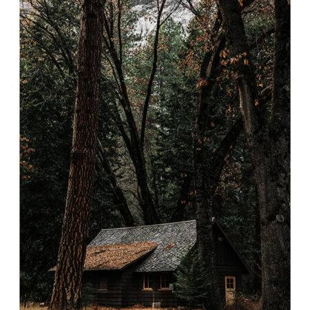 Poster RUSTIC FARMHOUSE FOREST CABIN 3 -  Sticky 2