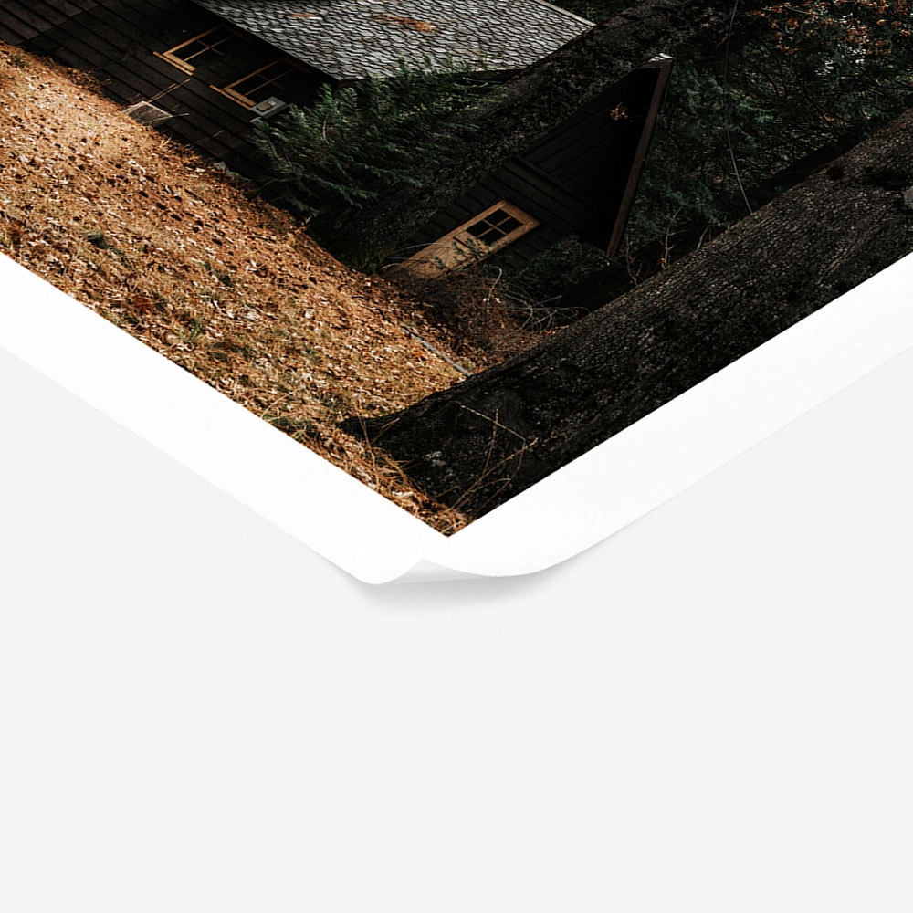 Poster RUSTIC FARMHOUSE FOREST CABIN 3