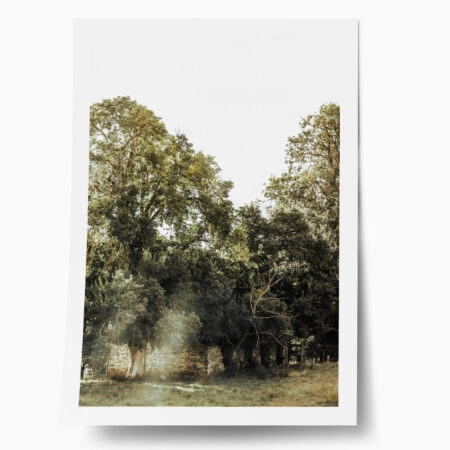 Poster RUSTIC FARMHOUSE FOREST PATH 2 - 