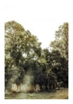 Poster RUSTIC FARMHOUSE FOREST PATH 2