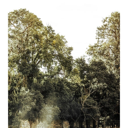 Poster RUSTIC FARMHOUSE FOREST PATH 2 -  Sticky 2