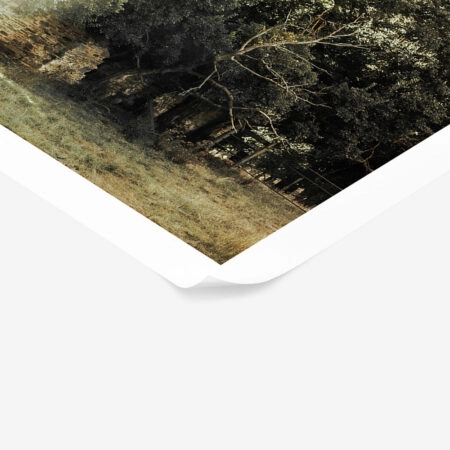 Poster RUSTIC FARMHOUSE FOREST PATH 2 -  Sticky 1