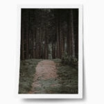Poster RUSTIC FARMHOUSE FOREST PATH