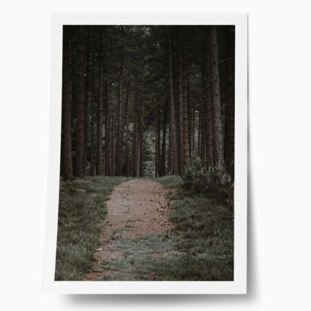 Poster RUSTIC FARMHOUSE FOREST PATH - 