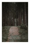 Poster RUSTIC FARMHOUSE FOREST PATH