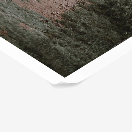 Poster RUSTIC FARMHOUSE FOREST PATH -  Sticky 1