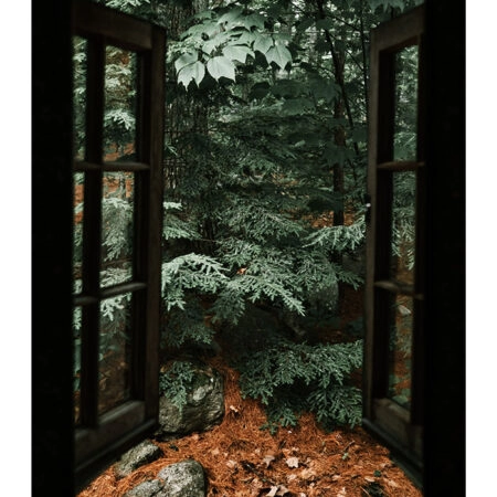 Poster RUSTIC FARMHOUSE FOREST WINDOW -  Sticky 2