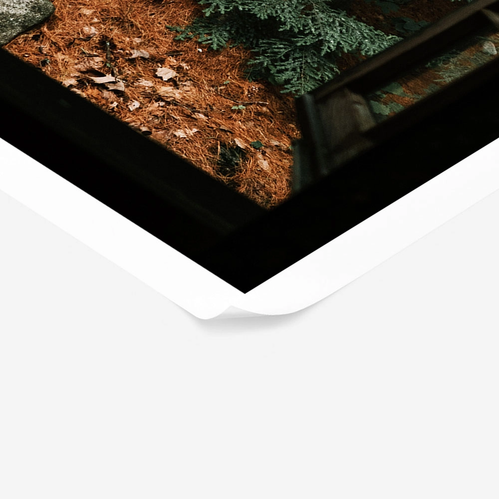 Poster RUSTIC FARMHOUSE FOREST WINDOW