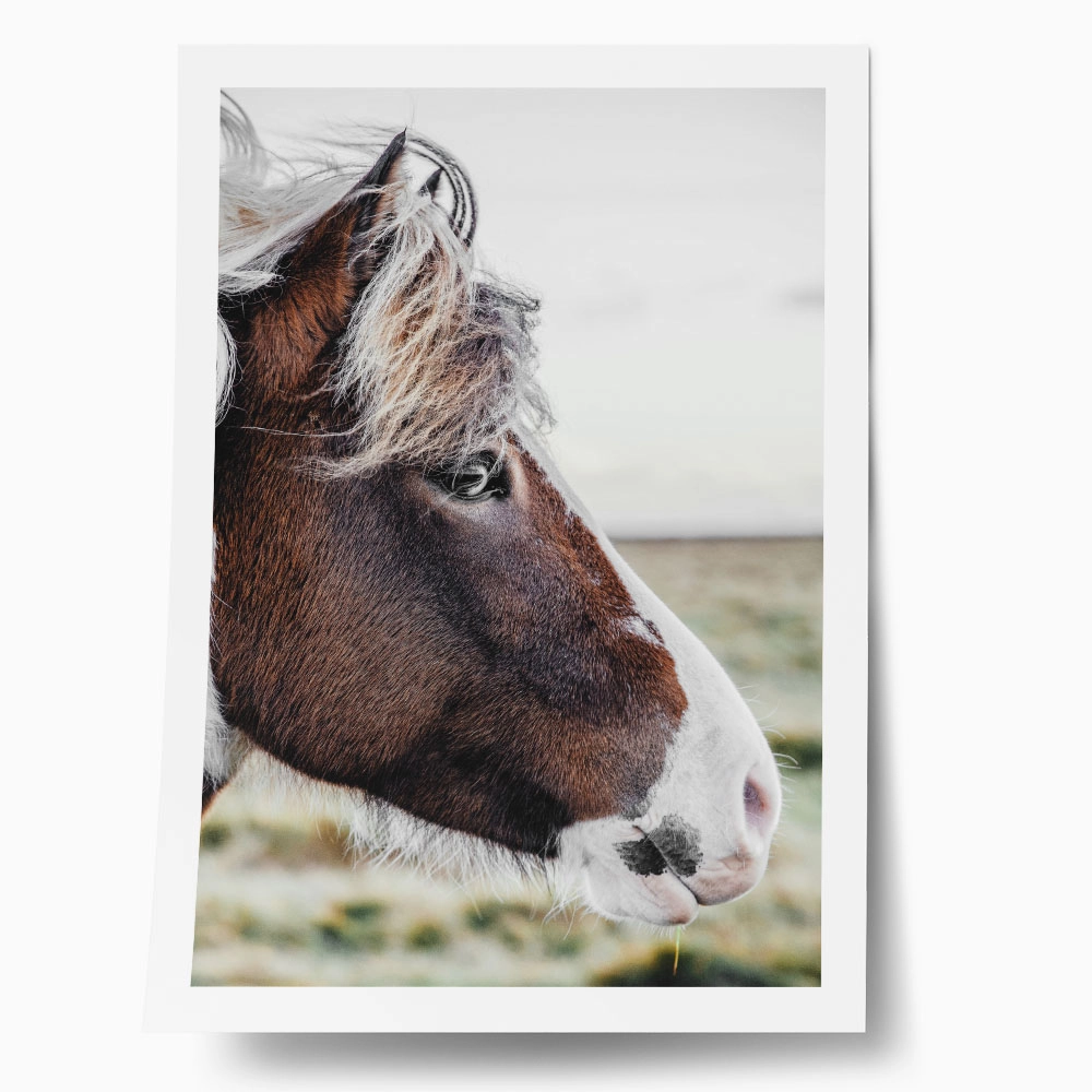 Poster RUSTIC FARMHOUSE HORSE 10