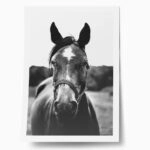 Poster RUSTIC FARMHOUSE HORSE 11