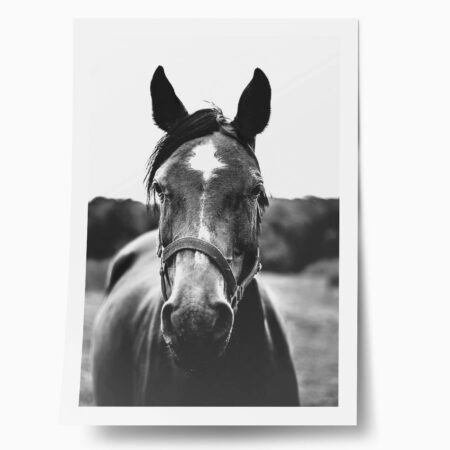 Poster RUSTIC FARMHOUSE HORSE 11 - 