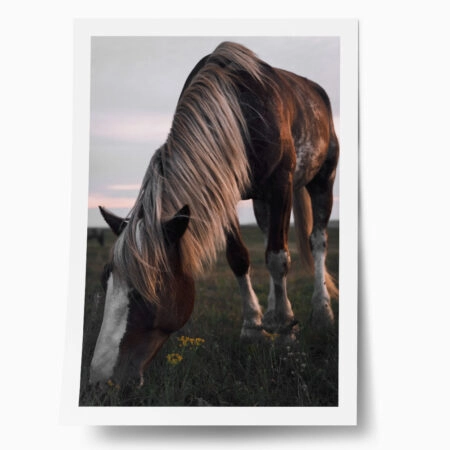 Poster RUSTIC FARMHOUSE HORSE 12 - 