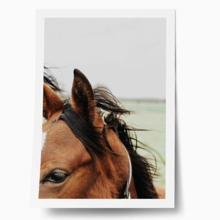 Poster RUSTIC FARMHOUSE HORSE 13 - 