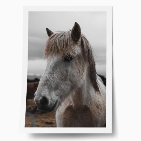Poster RUSTIC FARMHOUSE HORSE 14 - 